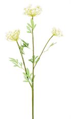 QUEEN ANNE'S LACE STEM 37"