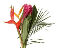 TROPICAL BOUQUET