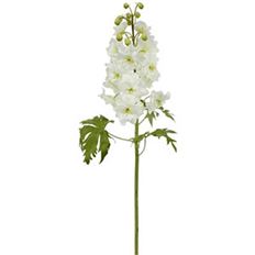 DELPHINIUM WHITE STEM
