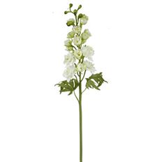 DELPHINIUM 23" WHITE
