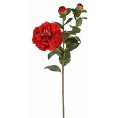 CAMELLIA 28.5'' RED