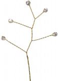 QUINTET GOLD STEM IRID 12/PK