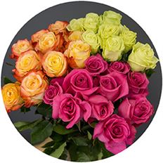 ROSE COLORS ASSORTED 60cm