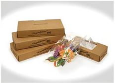 BAG BOUT 9X4X2.75" CLEAR 100/PK