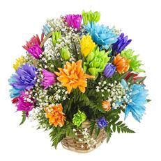 6" TINTED POM BASKET ARR