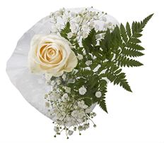 ROSE BOUQUET 1 COLOR