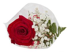 ROSE BOUQUET 1 RED