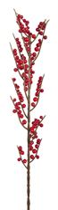 BERRY BRANCH ILEX 28" 4/PK WR RED