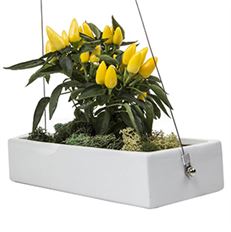 HANGING PLANTER WHITE