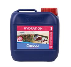 CHRYSAL LIQUID #1 RVB GALLON