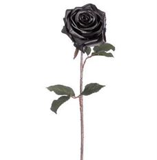 BLACK MAGIC ROSE SPRAY 21.5"