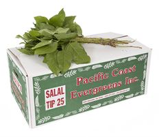 SALAL TIPS X 25BU
