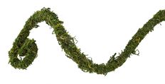 MOSS VINE 6FT WIRED GREEN