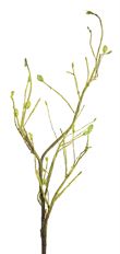 BRANCH W LEAF SPRAY 51"GREEN