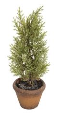 TREE POTTED SNOW CEDAR 19"GRN/WT