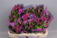 CLEMATIS