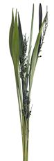 COCO BAHIA FLOWER MOSS STEM 5/