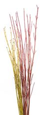 DOGWOOD BRANCHES SHORT 3-4'