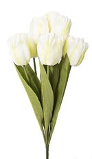 TULIP BUSH 18.5" CREAM X 9