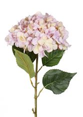 HYDRANGEA 44" LAVENDER