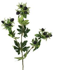 RASPBERRY STEM 28" BLACK