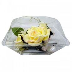 BOX BOUT CLEAR 6X5X4" 100/CS