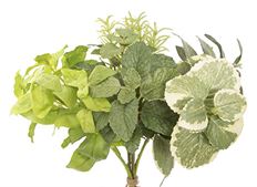 HERB GARDEN BOUQUET