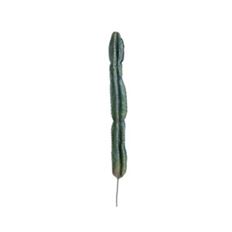 CACTUS 42" GREEN