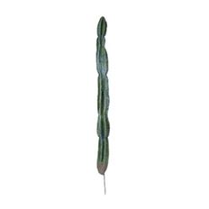 CACTUS 64" GREEN