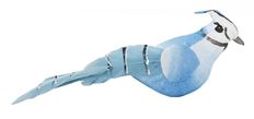 BLUE JAY 4" 12/PK