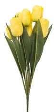 TULIP BUSH 19" YELLOW X9