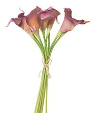 CALLA LILY BUNDLE EGGPLANT 14"