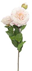 CAMELLIA 29" PINK WHITE