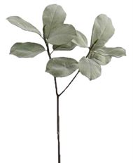 TREE MAGNOLIA LEAF 25"