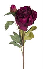 PEON WITH BUD 19.5" FUSCHIA