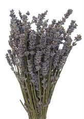 LAVENDER DRIED BOUQUET