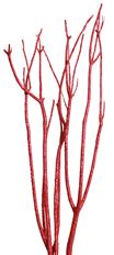 MITSUMATA RED GLITTER 3/PK