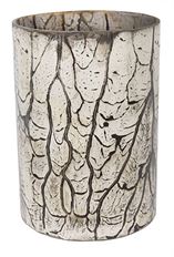VASE GLASS 7X5" CYLINDER BIRCH