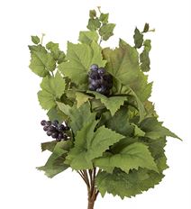 GRAPE BUSH 24" X7 GREEN