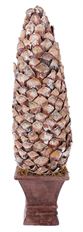 CONE POTTED 18" WHITE WASH