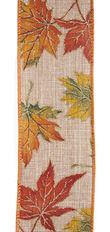 RIBBON 2.5" MAPLES MULTI 10YD