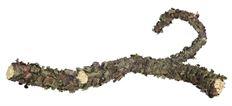 BRANCH W/LICHEN 21" BROWN