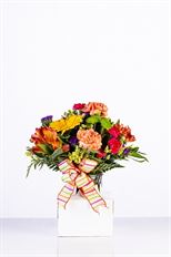 BOX AUTO VASE WHITE 6X6X4" 100/CS