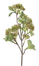 BRANCH SEDUM 34" PK/GR