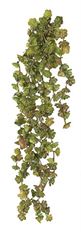 SUCCULENT ROSETTE HANGING 19" BR/GR
