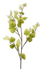 BRANCH POTATO LEAF 32" GREEN