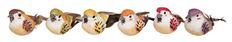 BIRD 3.5" 12/PK