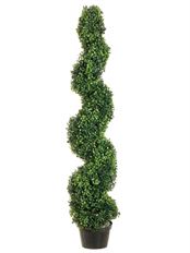 BOXWOOD SPIRAL 4' GREEN