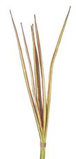 BLADE GRASS BUNDLE X6 26" GREEN