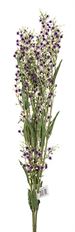 MIMOSA SPRAY 36" PURPLE X3